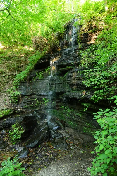 DSC_2819 (Large).JPG